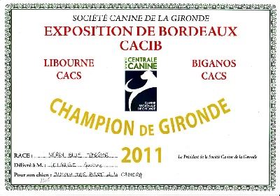 Des Cottages de la Loire - Championnat de Gironde