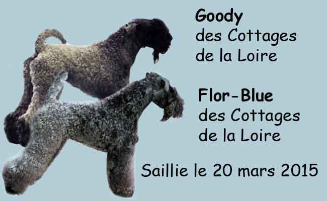 Des Cottages de la Loire - Saillie Flor / Goody
