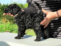 IOONA